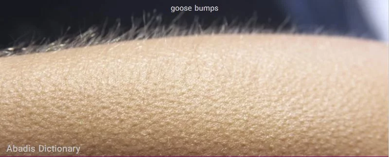 goose bumps